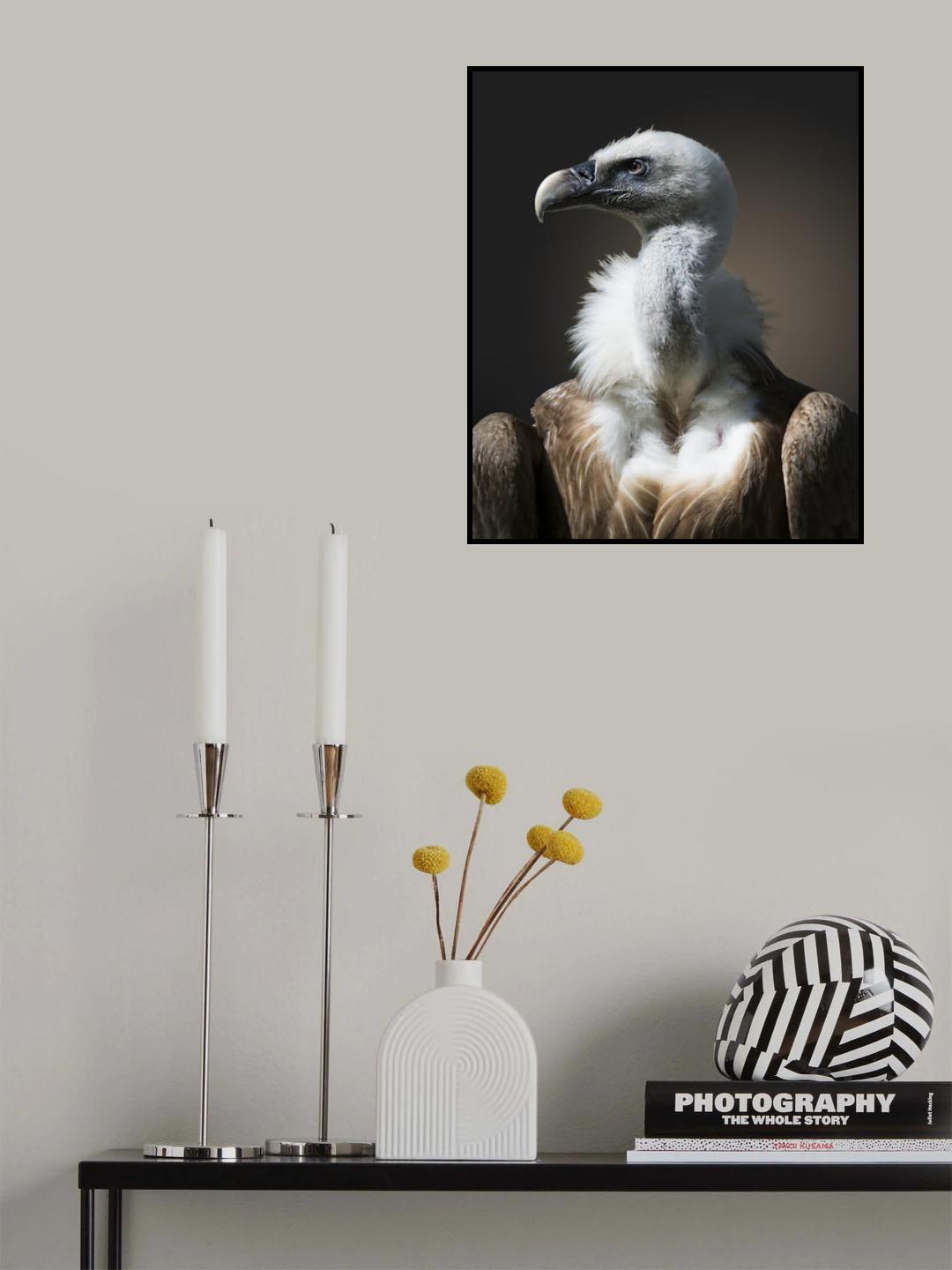 The look Poster och Canvastavla