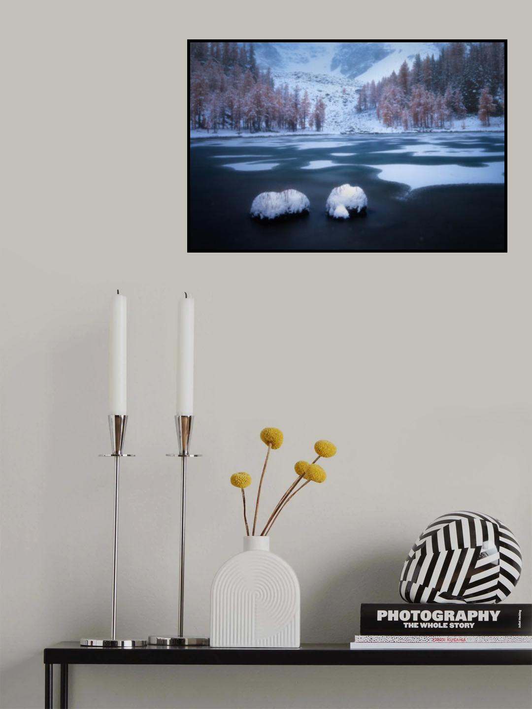 Glimpses of Partly Frozen Paradise Poster och Canvastavla