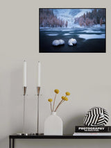 Glimpses of Partly Frozen Paradise Poster och Canvastavla