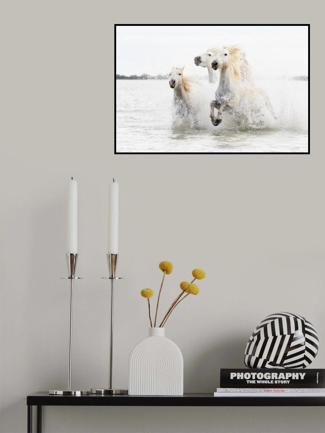 Horses  hight key Poster och Canvastavla