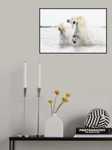 Horses  hight key Poster och Canvastavla