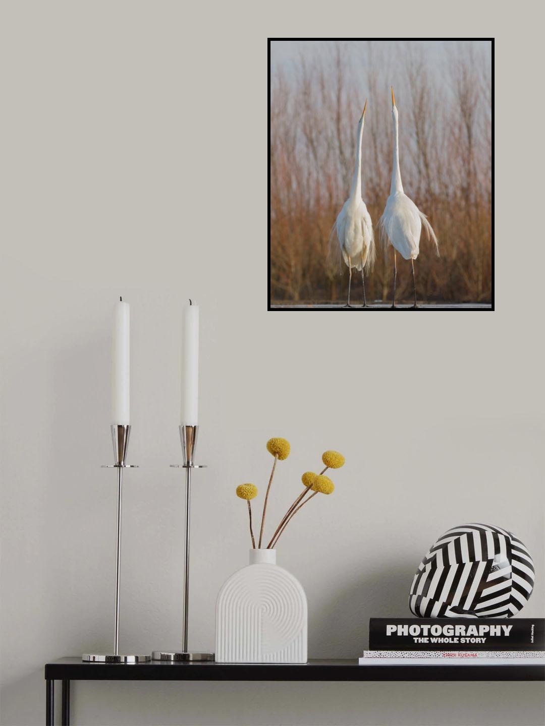Who is taller is the winer Poster och Canvastavla