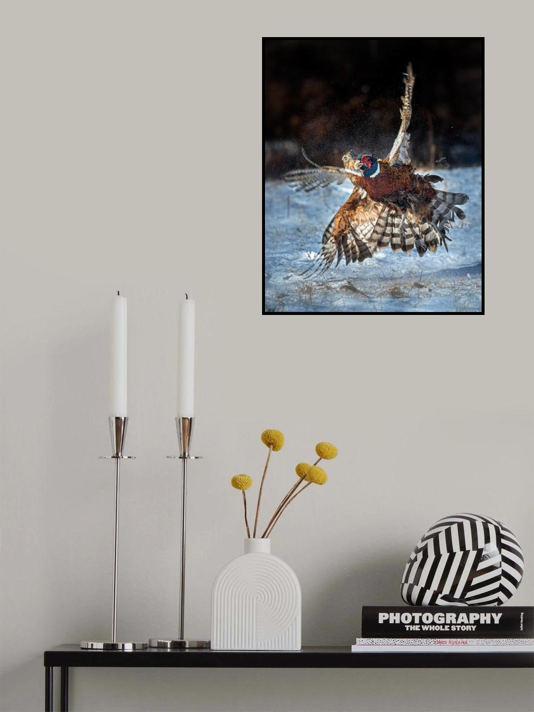 Dangerous waltz Poster och Canvastavla