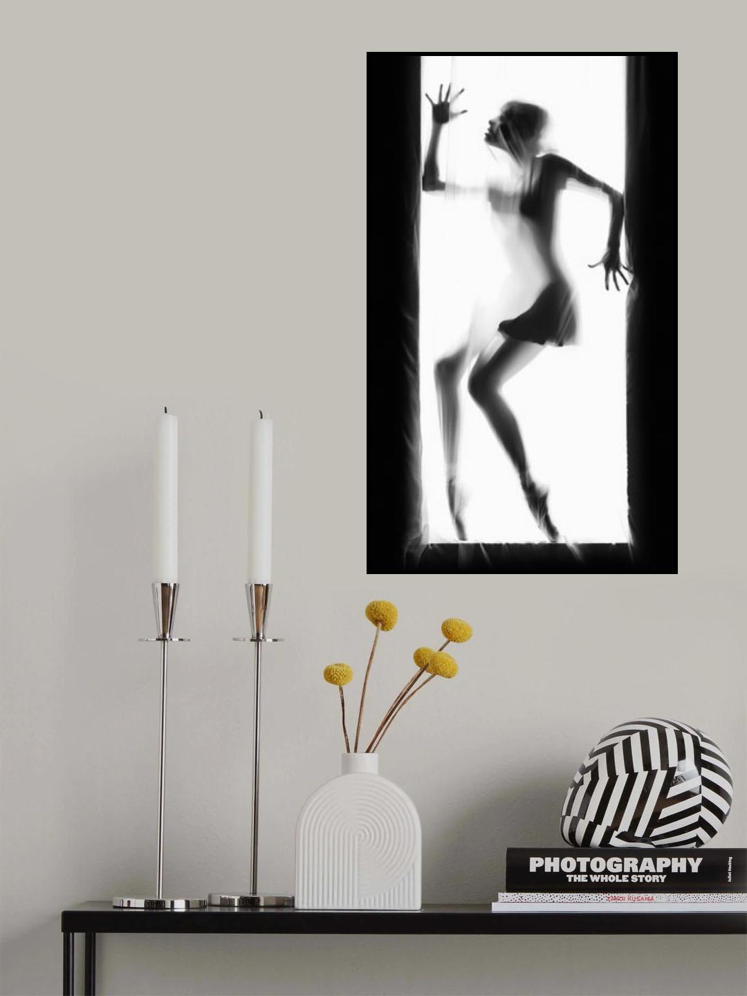 Shadow Ballet Poster och Canvastavla