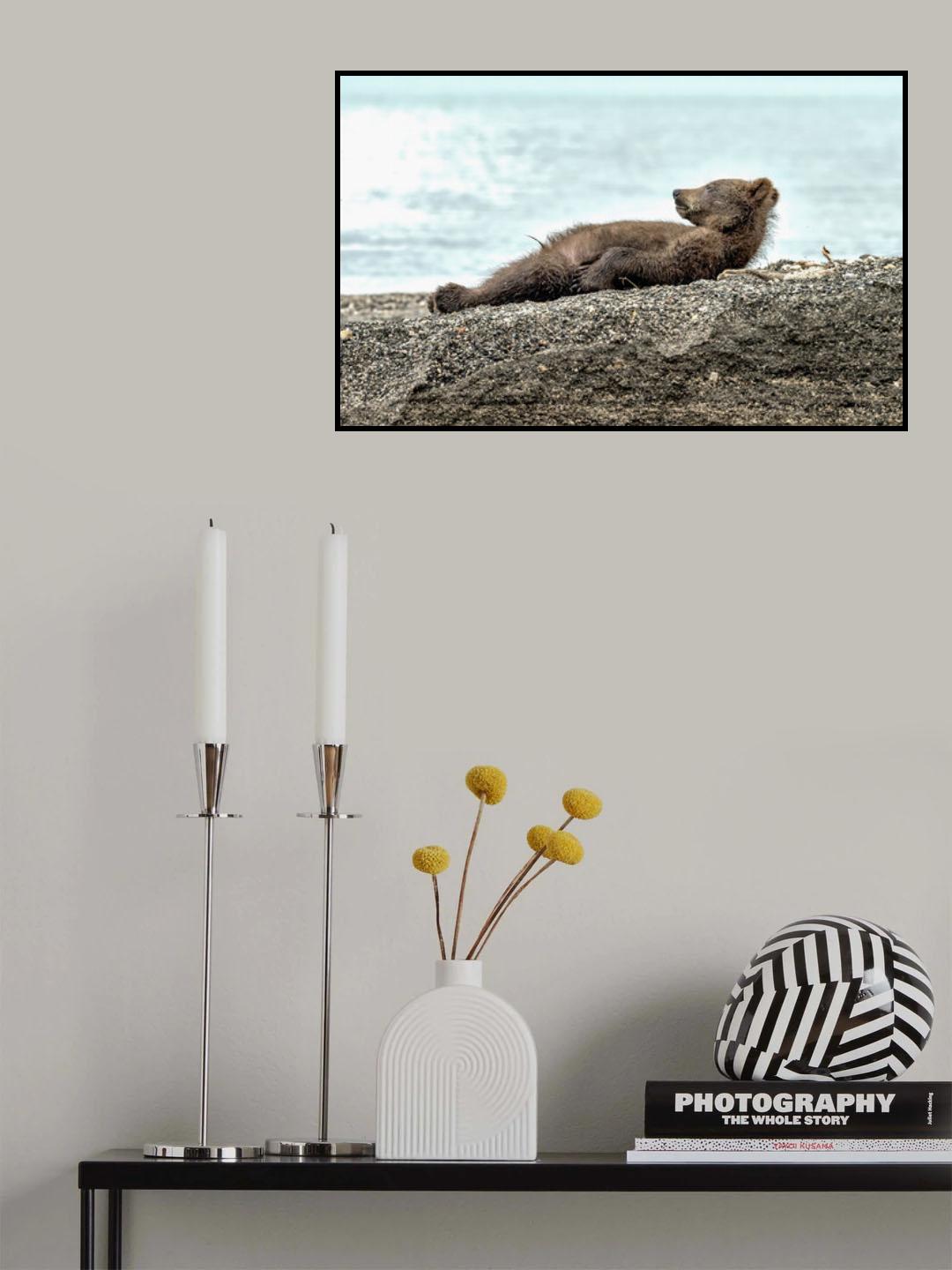 Puppy Poster och Canvastavla
