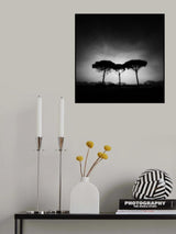 Arboles Poster och Canvastavla