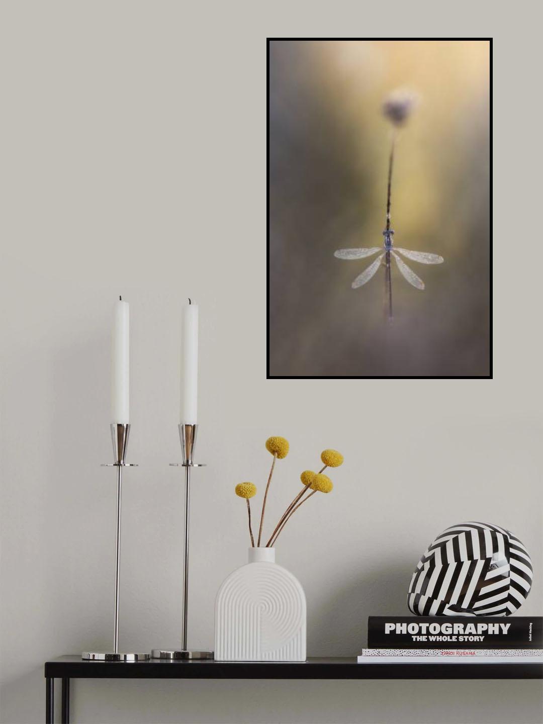 Symmetry Poster och Canvastavla