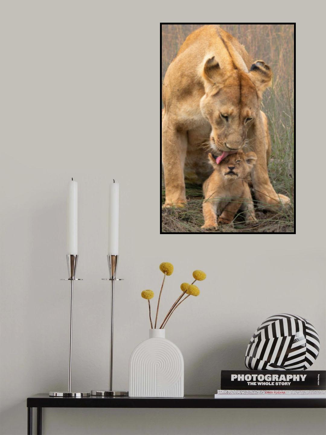 Love Poster och Canvastavla