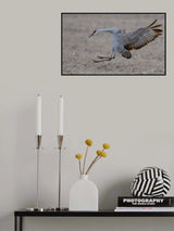 LANDING Poster och Canvastavla