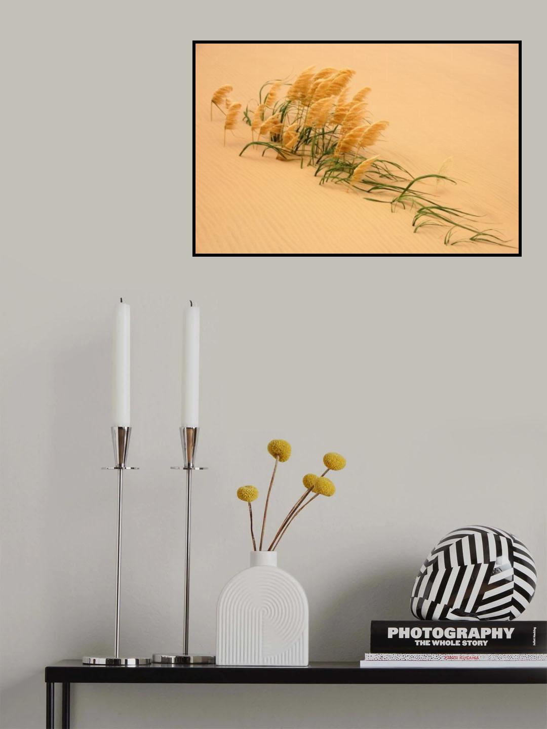 Pampas Grass in Sand Dune Poster och Canvastavla