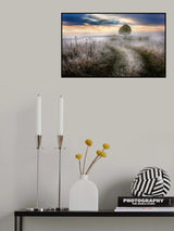 Frosty Morning Poster och Canvastavla