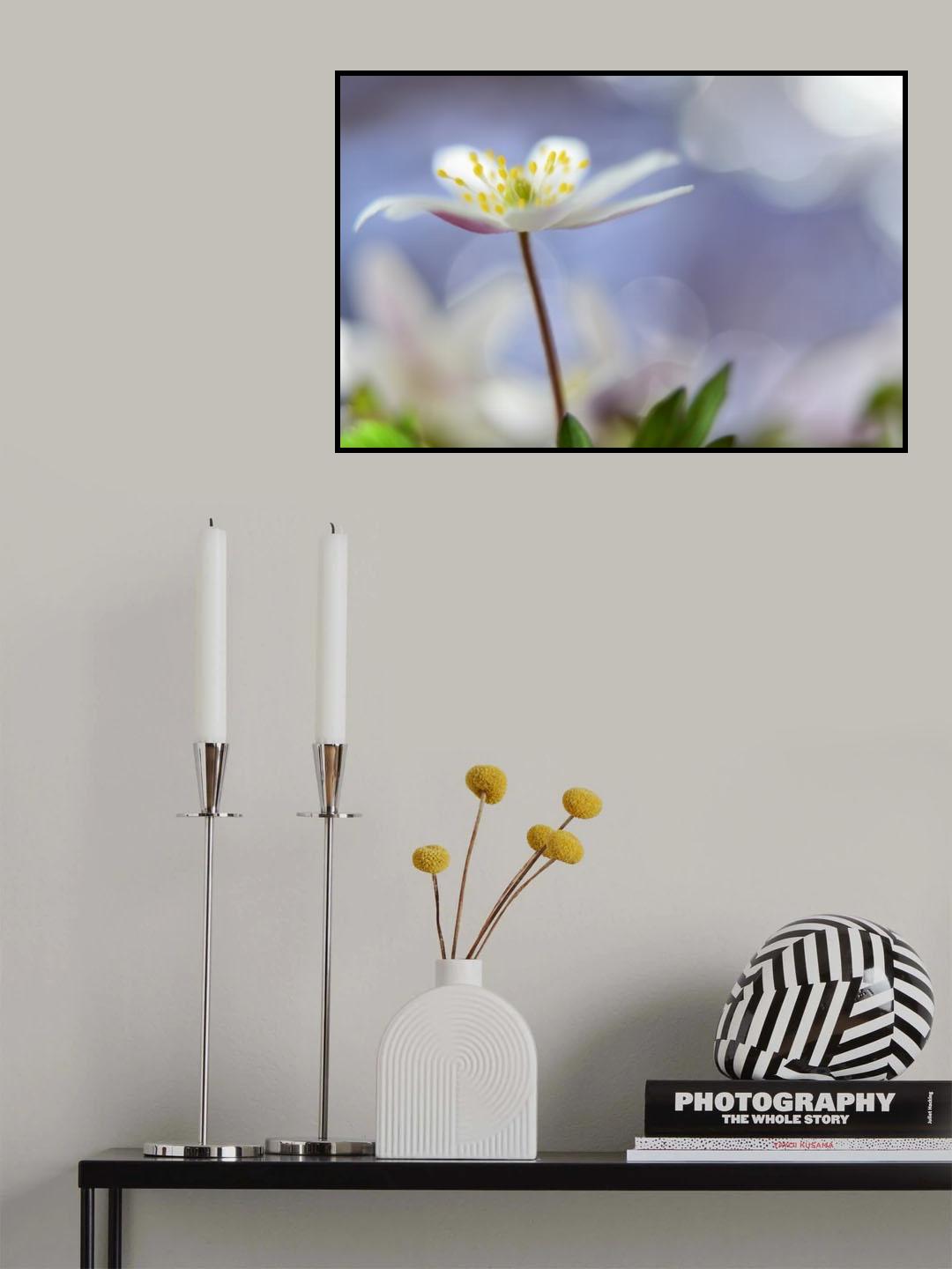Purple spring Poster och Canvastavla