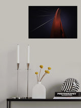 The Arc Poster och Canvastavla