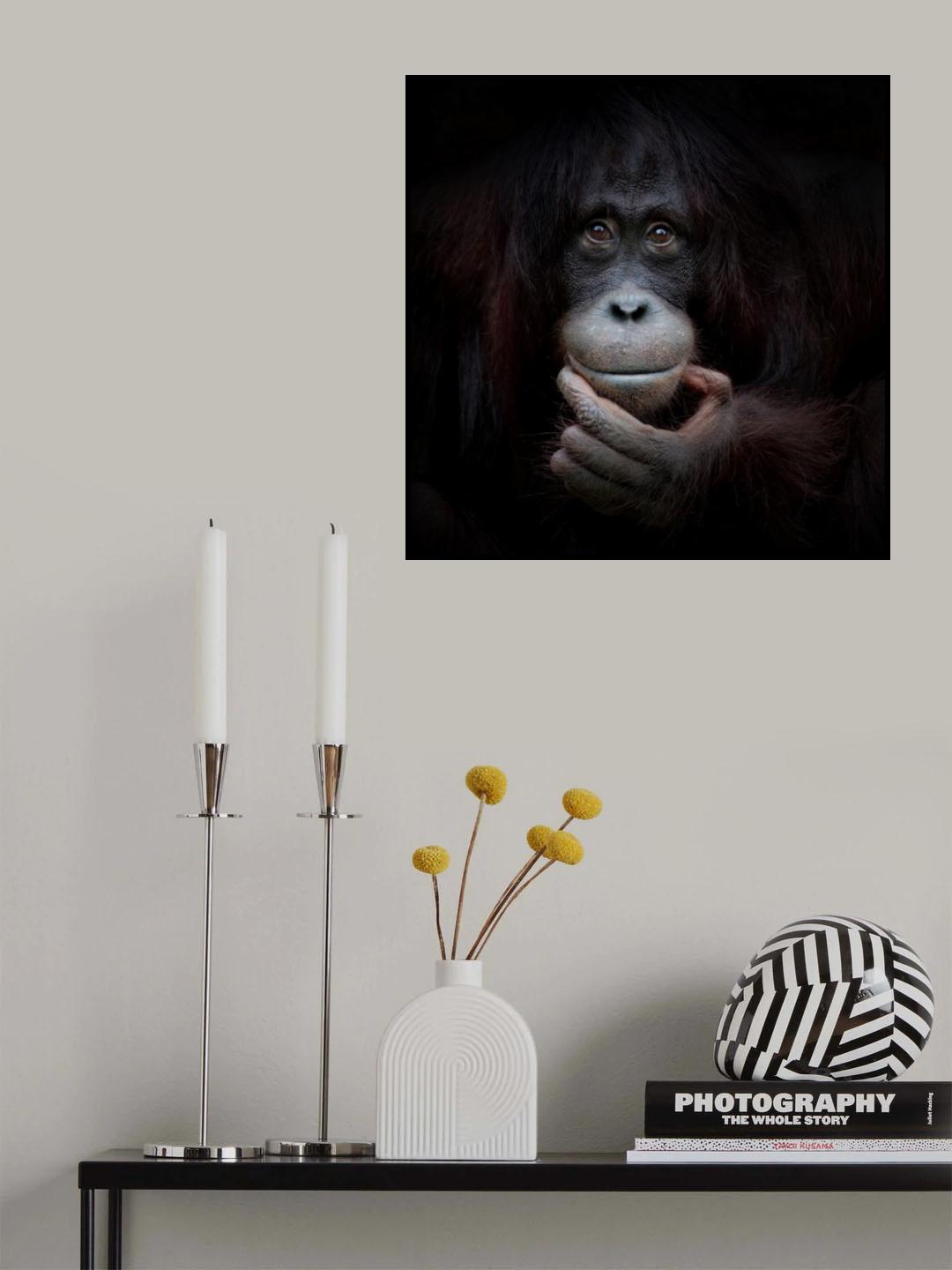 THE MIRROR IMAGE Poster och Canvastavla