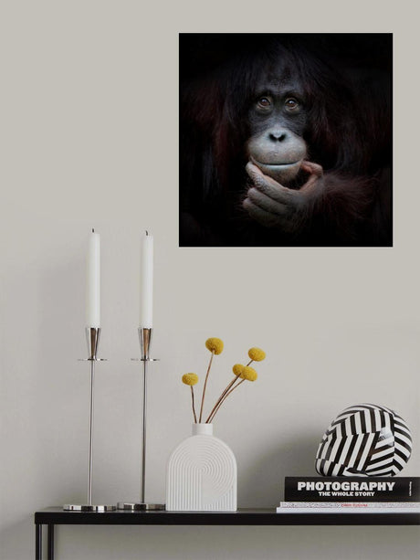 THE MIRROR IMAGE Poster och Canvastavla