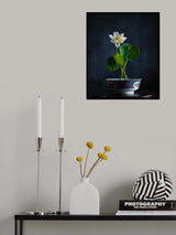 Bowl Lotus Poster och Canvastavla