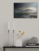 Poster och Canvastavla