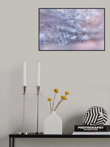 Snow geese Poster och Canvastavla
