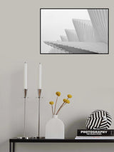 Fly Poster och Canvastavla