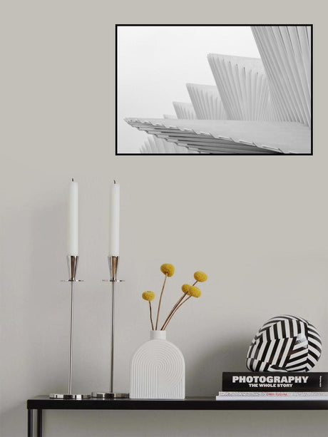 Fly Poster och Canvastavla