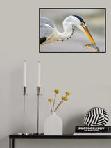 Narrow Catch Poster och Canvastavla