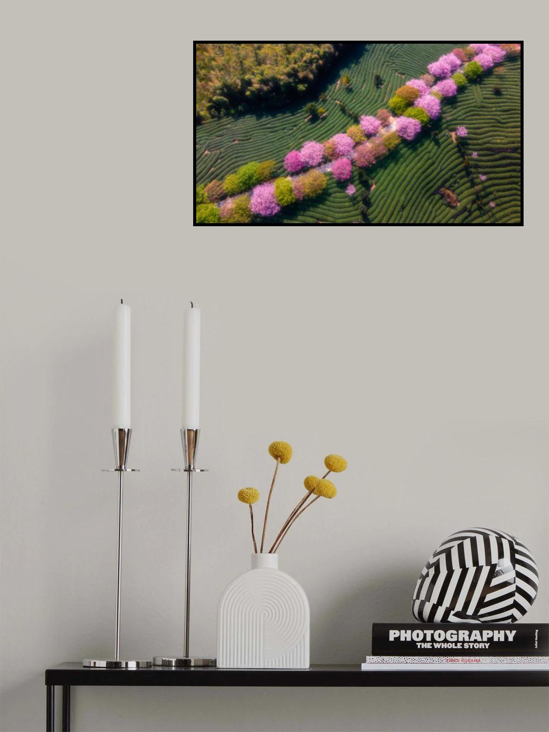 Sakura Poster och Canvastavla
