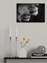 Double Poster och Canvastavla