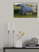 Wild duel Poster och Canvastavla