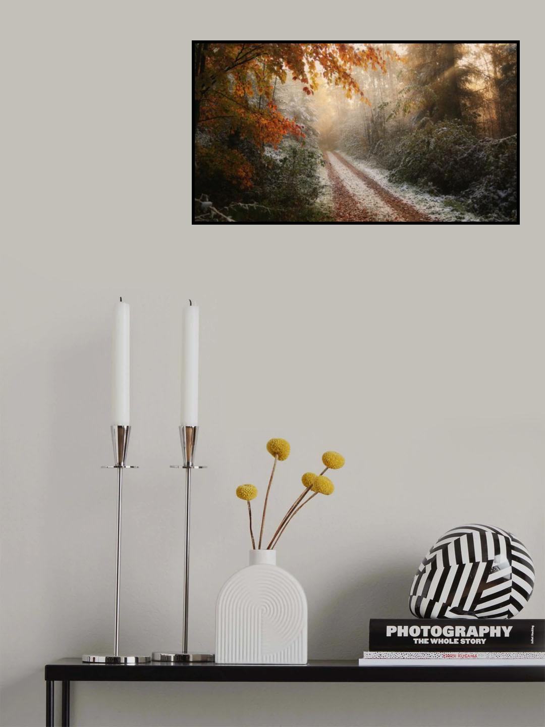 Frosty Fall Poster och Canvastavla