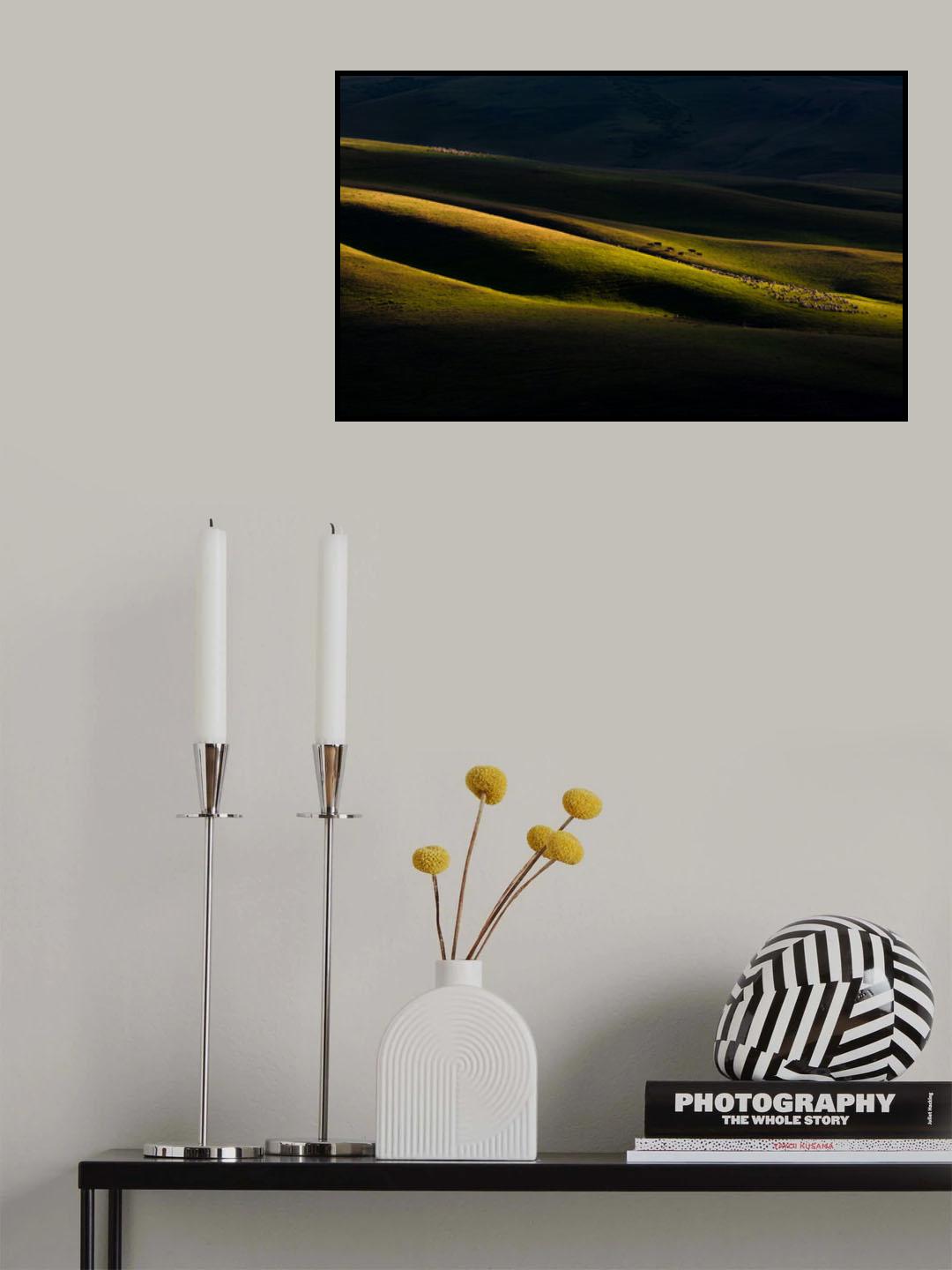 The Light and Shadow Poster och Canvastavla