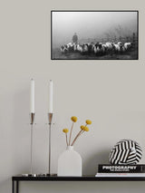 Transhumance Poster och Canvastavla