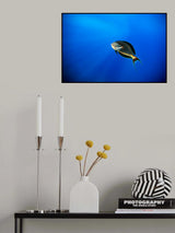 Blu Poster och Canvastavla