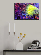 Yellow Vibes Poster och Canvastavla