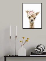 Floral Baby Llama Poster och Canvastavla