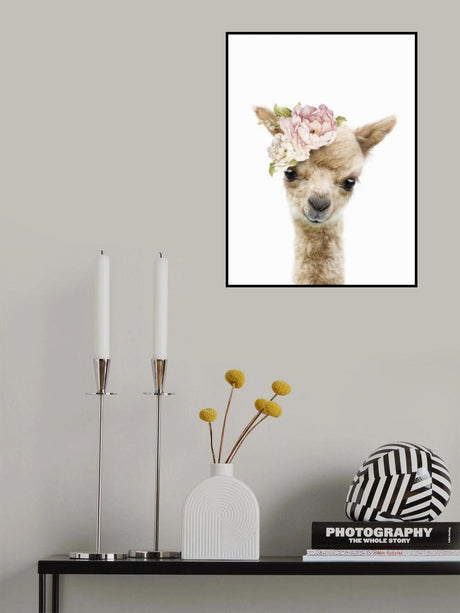 Floral Baby Llama Poster och Canvastavla
