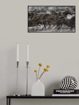 GALLOP Poster och Canvastavla
