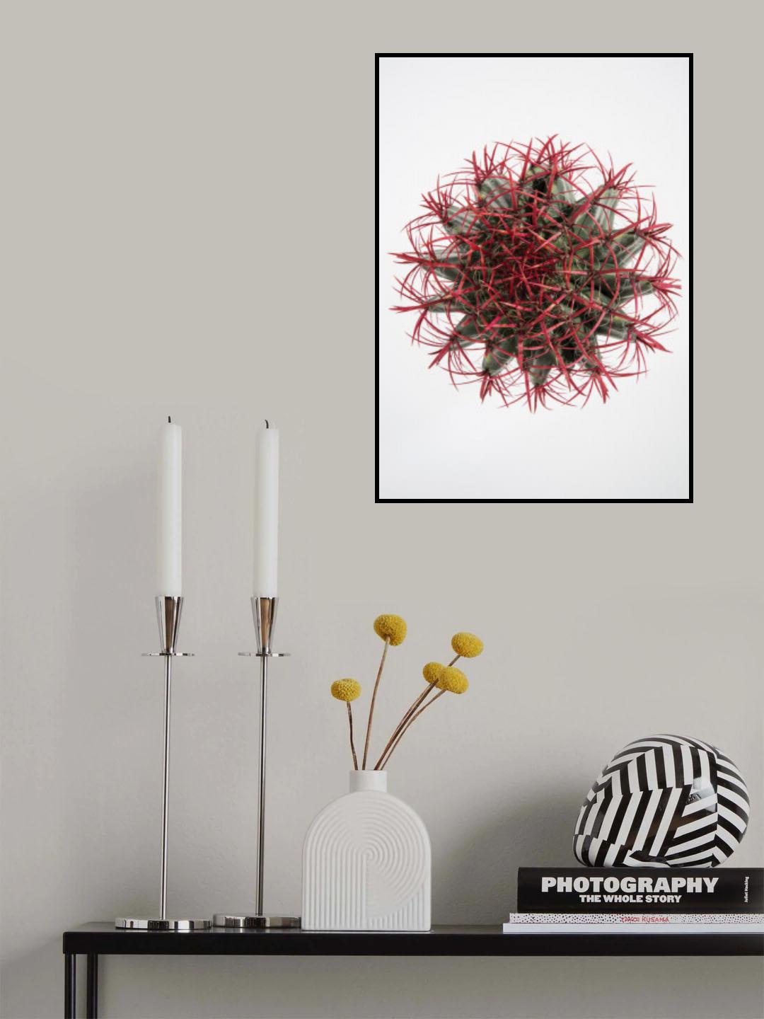 Cacti Poster och Canvastavla