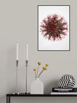 Cacti Poster och Canvastavla