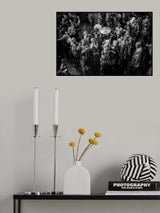 No.81 Poster och Canvastavla