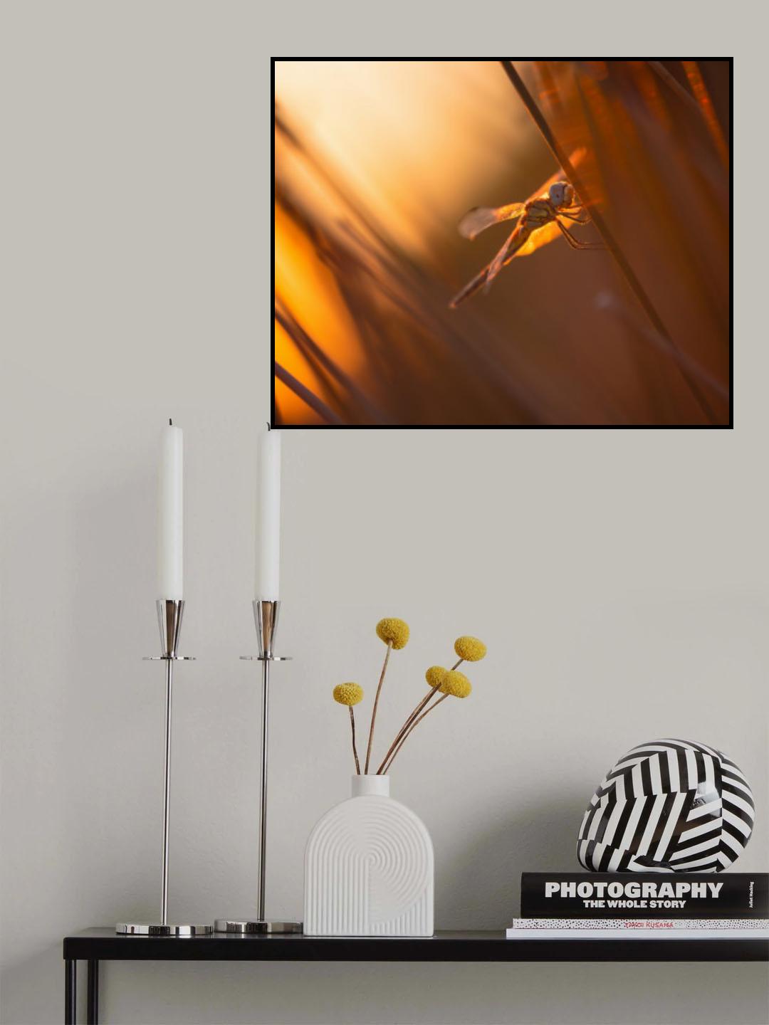 The last ray Poster och Canvastavla