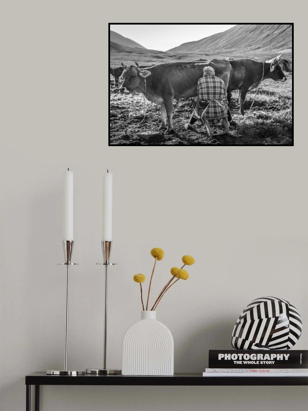 Morning under Aragats Poster och Canvastavla