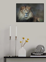 The Beauty of the King Poster och Canvastavla