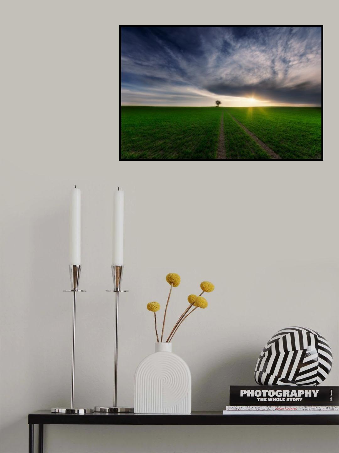 loner in the sun Poster och Canvastavla