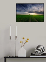 loner in the sun Poster och Canvastavla