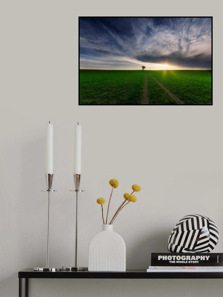 loner in the sun Poster och Canvastavla