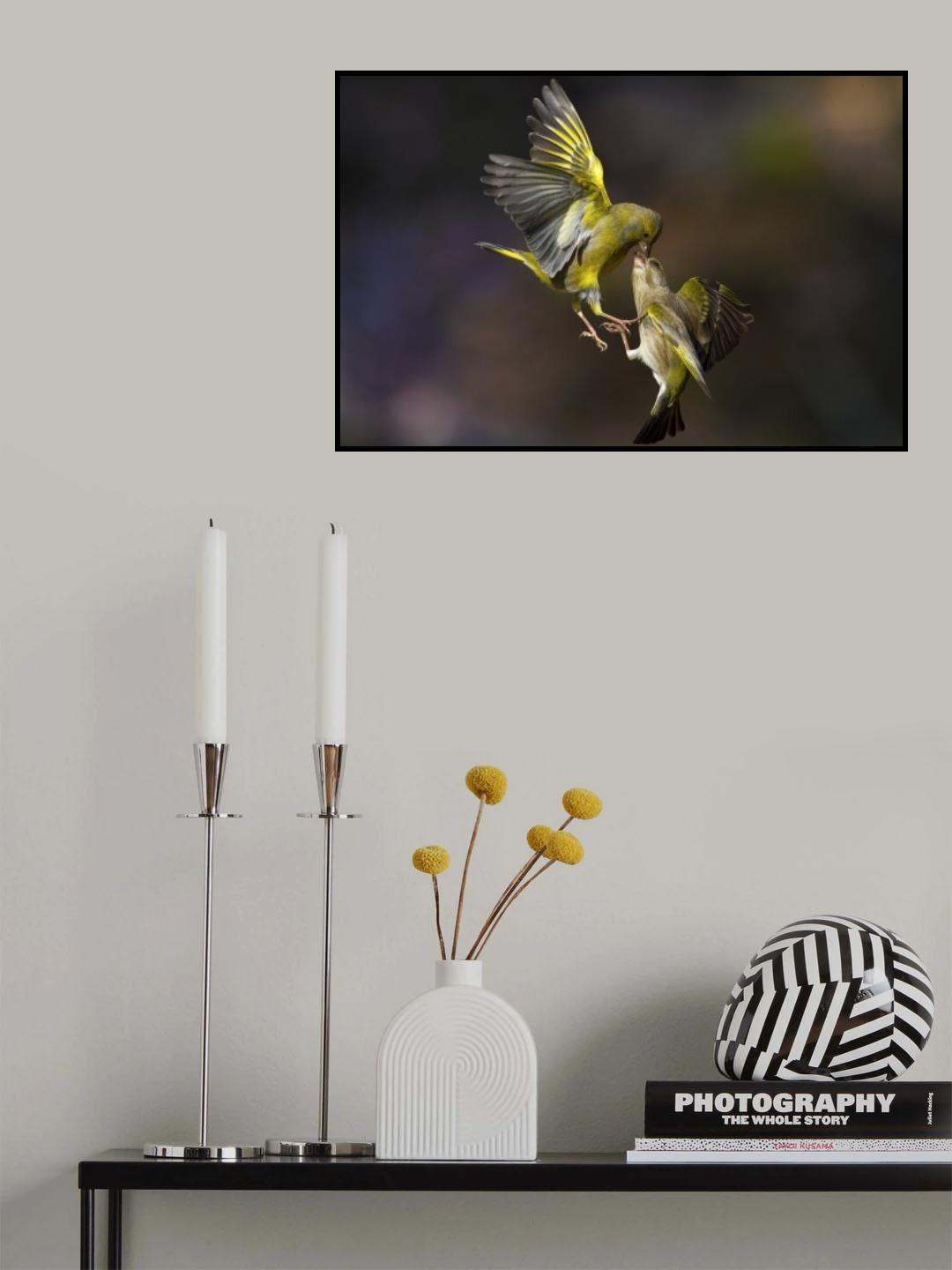 Flying Kiss on the forehead Poster och Canvastavla
