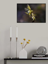 Flying Kiss on the forehead Poster och Canvastavla