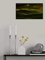 Busy Truck Poster och Canvastavla