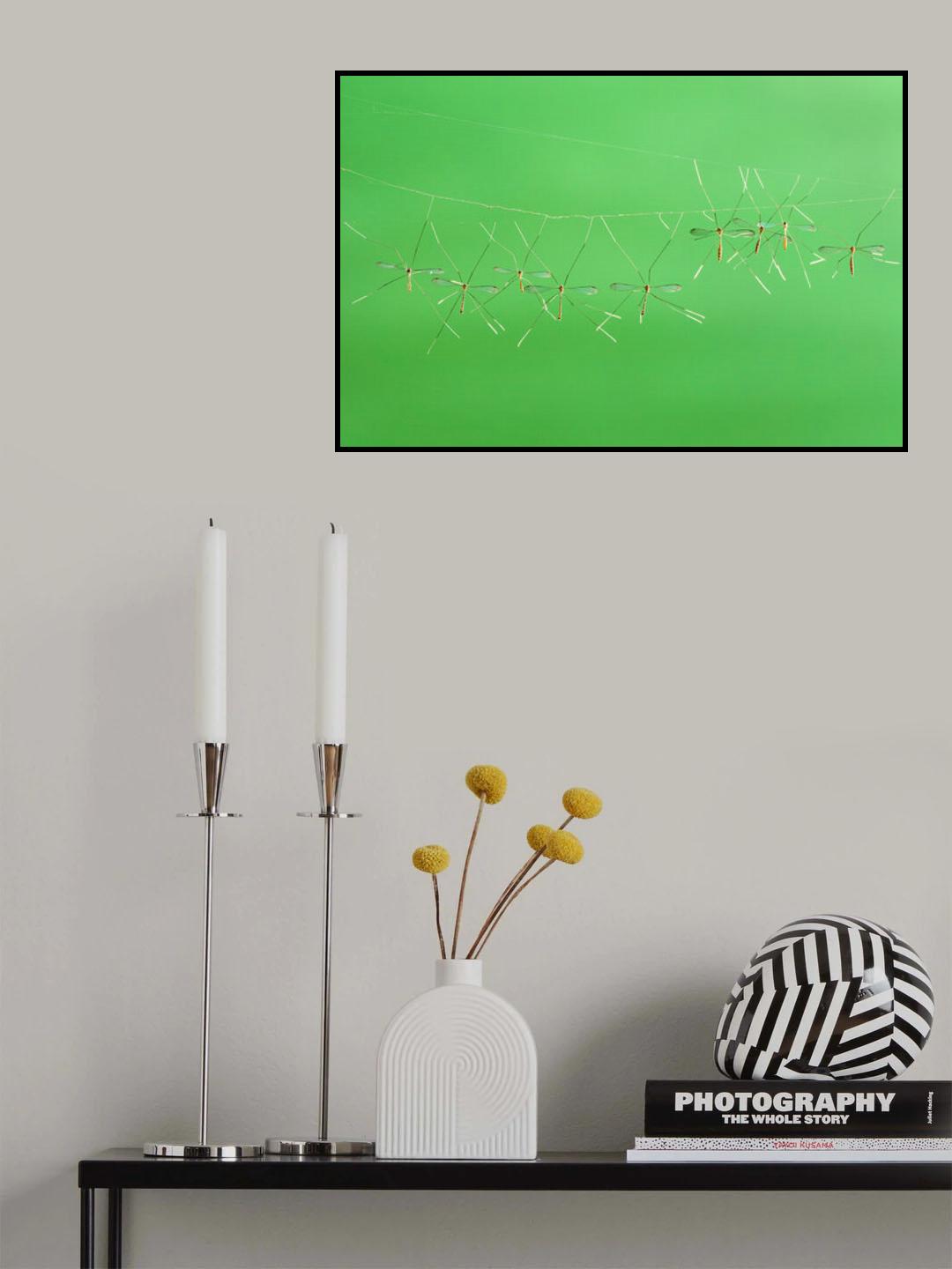 Together Poster och Canvastavla