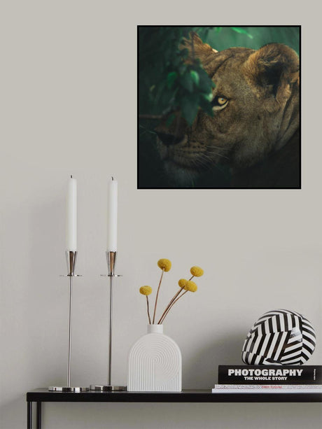 Eye Contact Poster och Canvastavla